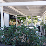 Photo n°5 de l'avis de Simona.a fait le 15/08/2023 à 17:03 sur le  BUTECO Bar à Manoppello Scalo