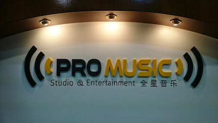 Pro Music Studio & Entertainment