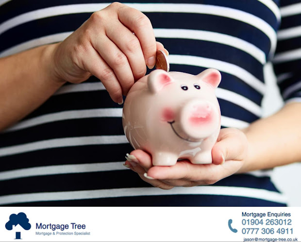 Reviews of Mortgage Tree in York - Insurance broker