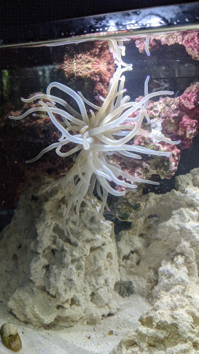 Pet Supply Store «Petco Animal Supplies», reviews and photos, 29335 Orchard Lake Rd, Farmington Hills, MI 48334, USA