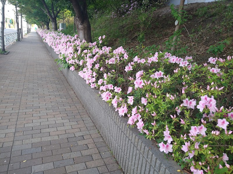 嘉悦学園かえつ有明中学校