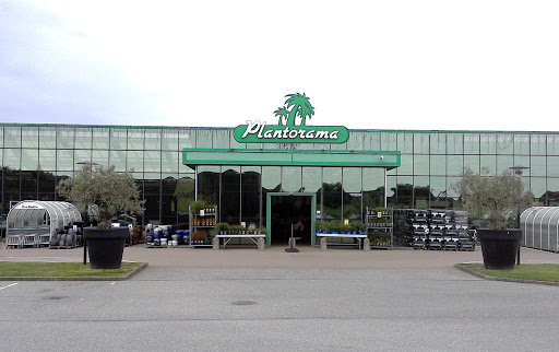 Plantorama in Vejle, Vejle