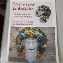 Photos du propriétaire du Restaurant Snack-Bar Le Bacchus à Le Castera - n°12