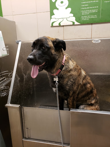 Pet Supply Store «Pet Supplies Plus», reviews and photos, 50633 Gratiot Ave, Chesterfield, MI 48051, USA