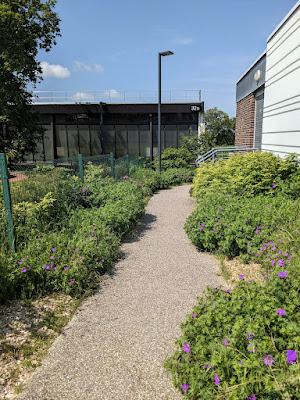 SUAPS à Mont-Saint-Aignan