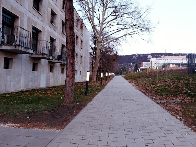 Értékelések erről a helyről: Megyei Önkormányzati Hivatal, Tatabánya - Munkaügyi hivatal