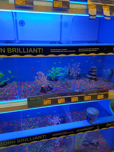 Pet Supply Store «PetSmart», reviews and photos, 11331 Causeway Blvd, Brandon, FL 33511, USA