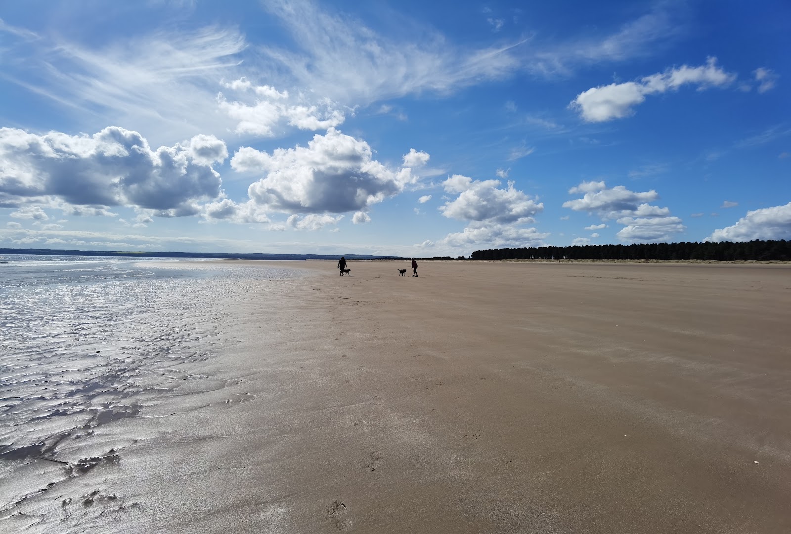 Foto di Kinshaldy Beach ubicato in zona naturale