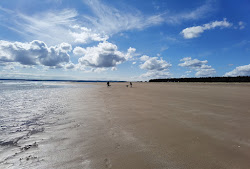 Foto di Kinshaldy Beach ubicato in zona naturale