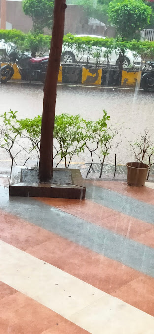 Google Maps image 13