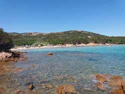 Cala L'Ulticeddu'in fotoğrafı çok temiz temizlik seviyesi ile