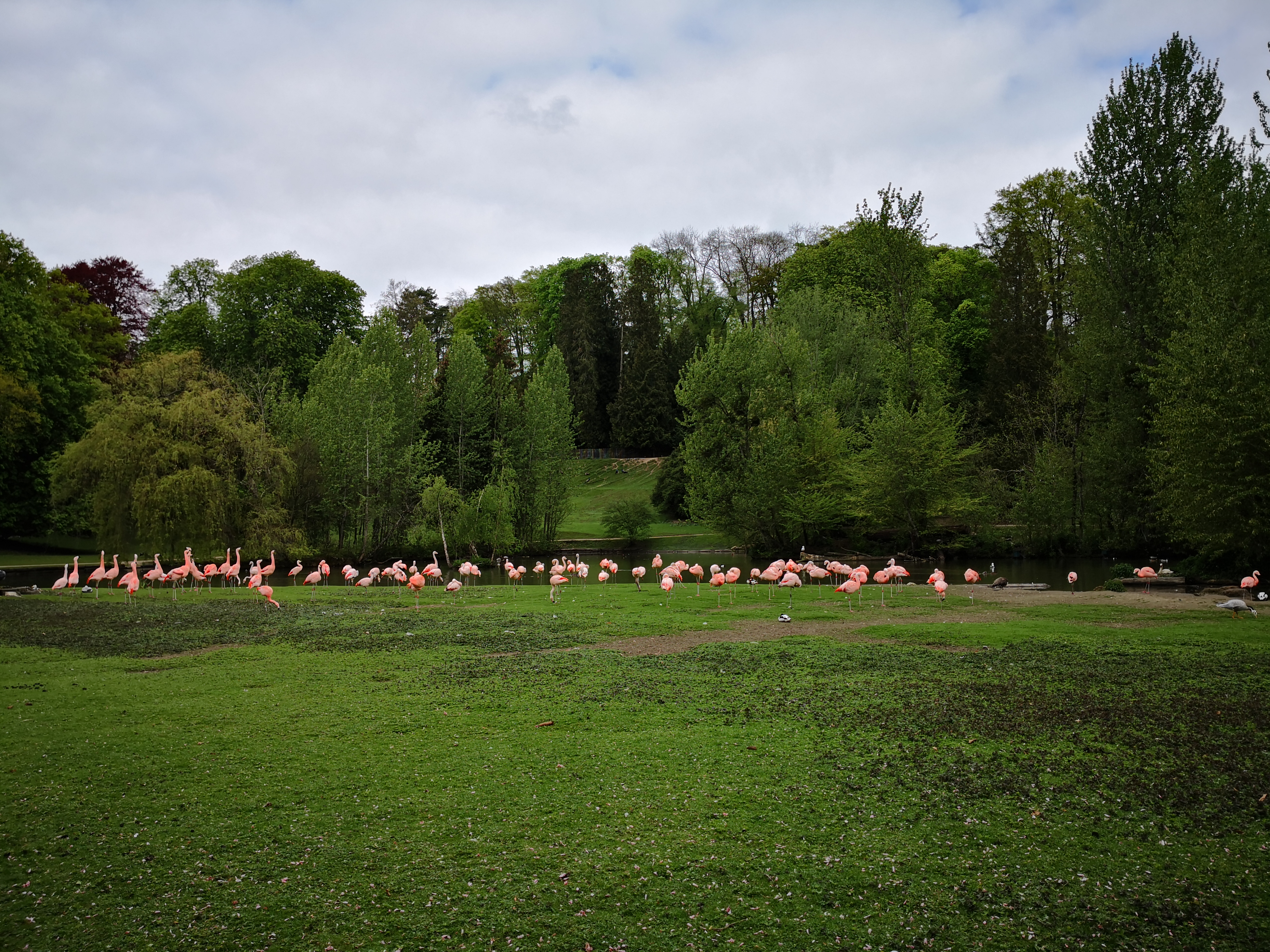Photo n° 9 de l'avis de Mélanie. fait le 02/05/2019 à 08:22