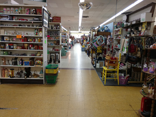 Collectibles store Lansing
