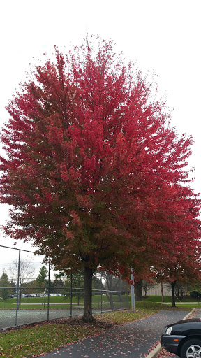 Community Center «Burning Bush Community Center», reviews and photos, 1313 N Burning Bush Ln, Mt Prospect, IL 60056, USA