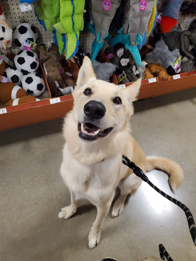 Pet Supply Store «PetSmart», reviews and photos, 159 N Weber Rd, Bolingbrook, IL 60490, USA
