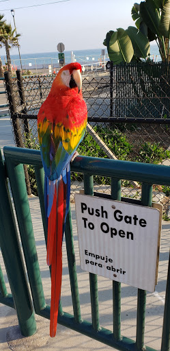 Pet Supply Store «PetSmart», reviews and photos, 33963 Doheny Park Rd, San Juan Capistrano, CA 92675, USA