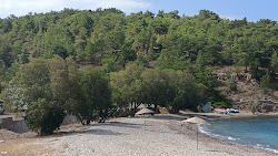 Beach Papalia'in fotoğrafı geniş bir kıyı şeridi ile birlikte