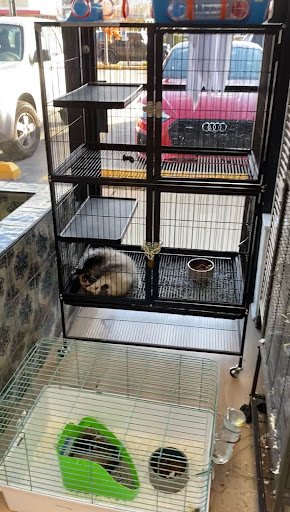 Pet Supply Store «The Animal Store», reviews and photos, 4364 Touhy Ave, Lincolnwood, IL 60712, USA