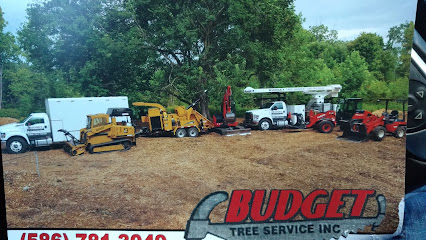 Budget Tree Service, Inc.