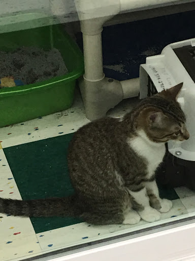 Pet Supply Store «Pet Supplies Plus», reviews and photos, 2100 W Grand River Ave, Okemos, MI 48864, USA