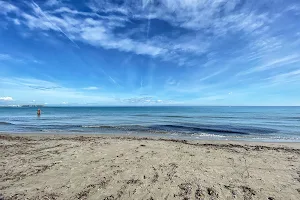 Playa de La Llana image