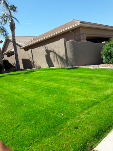 Golf Course «Oakwood Golf Course», reviews and photos, 9649 E Ej Robson Blvd, Sun Lakes, AZ 85248, USA