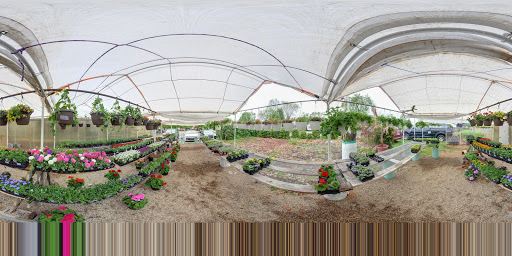 Florist «Powell the Florist», reviews and photos, 1215 Liberty Dr, Mishawaka, IN 46545, USA