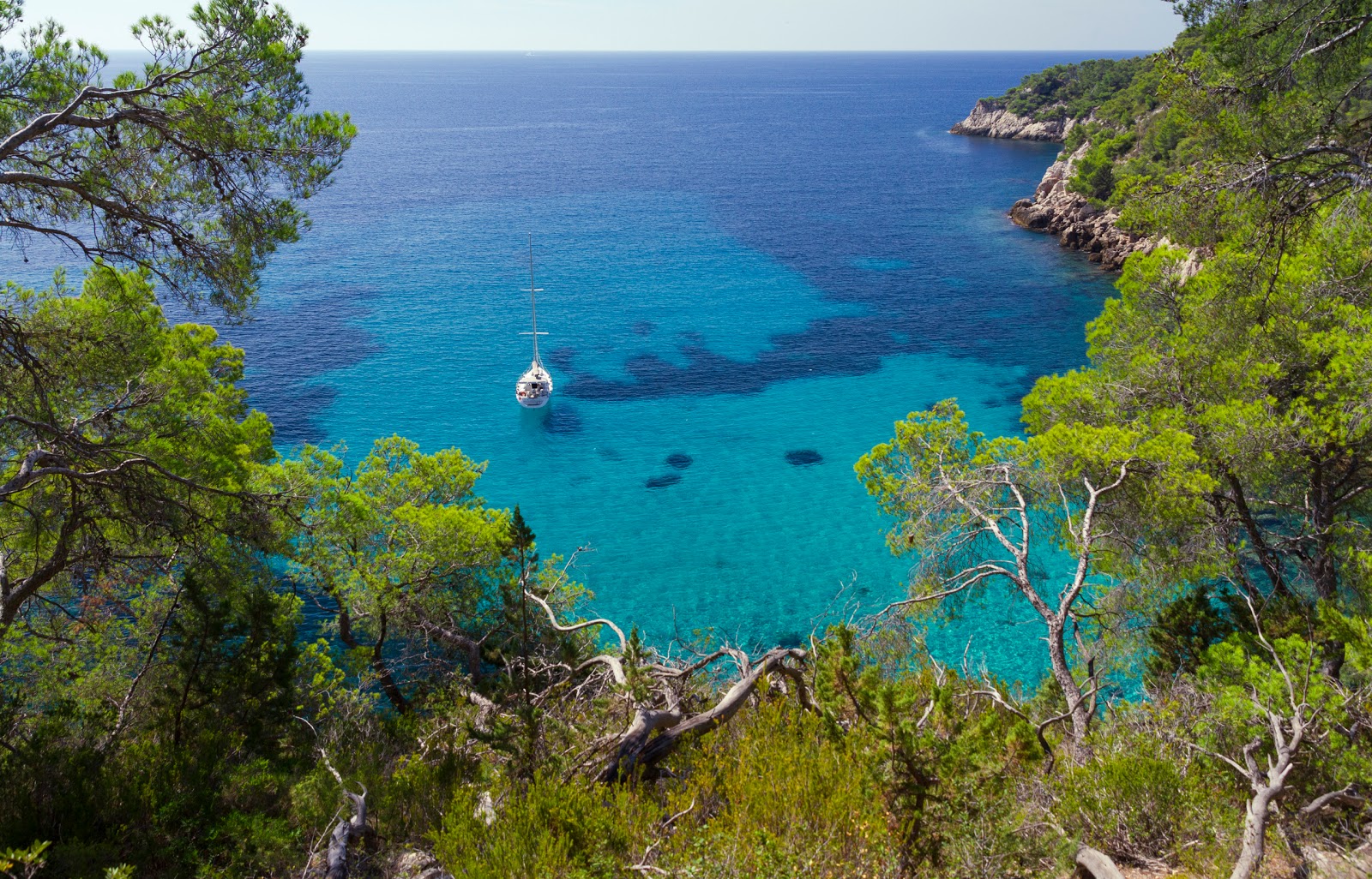 Φωτογραφία του Calanque De Port D'Alon με επίπεδο καθαριότητας πολύ καθαρό