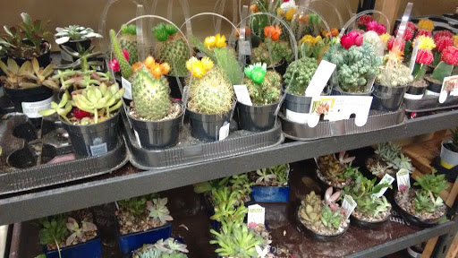 Home Improvement Store «The Home Depot», reviews and photos, 1336 Bristol Pike, Bensalem, PA 19020, USA