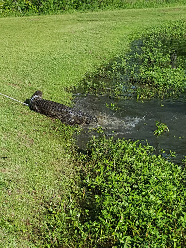 Golf Course «Riverview Park Golf Course», reviews and photos, 100 Riverview Park Dr, Dublin, GA 31021, USA