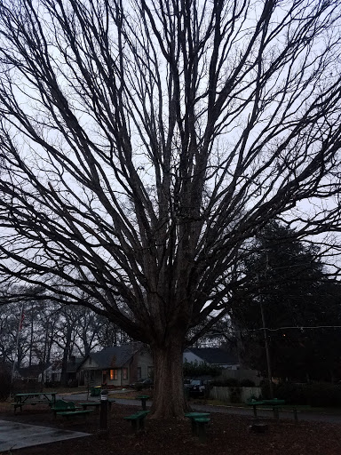 Community Center «Clarkston Community Center», reviews and photos, 3701 College Ave, Clarkston, GA 30021, USA