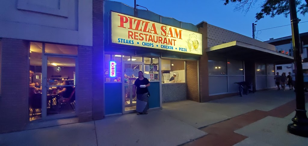Pizza Sam 48801