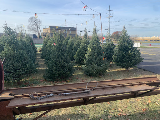 Vultaggio Royal Tree Farms LLC - Christmas Tree Lot