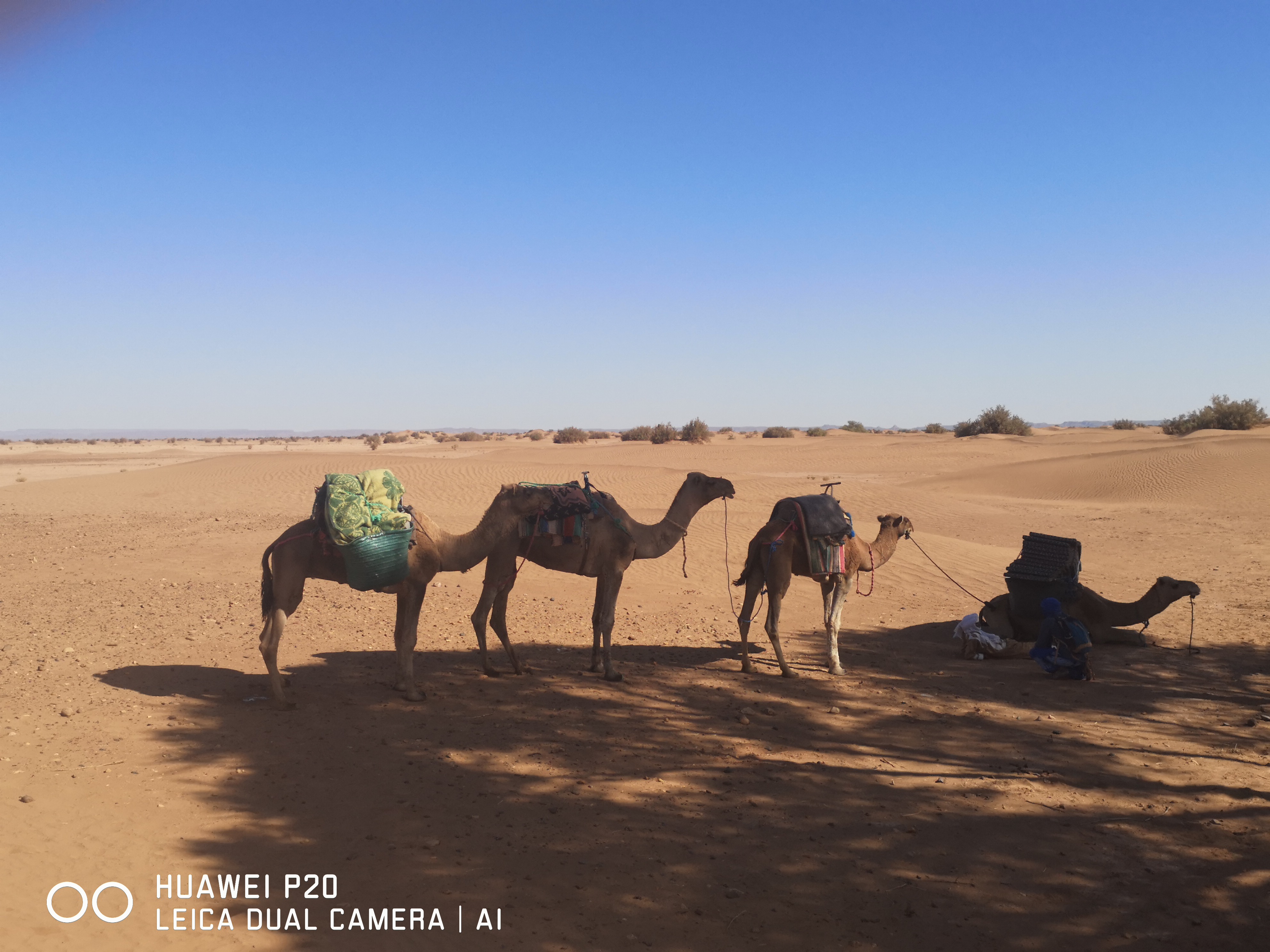 Photo n° 3 de l'avis de Sandrine.a fait le 06/11/2019 à 15:21