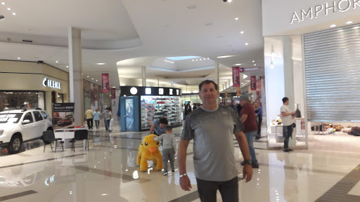 Paso Del Bosque Shopping