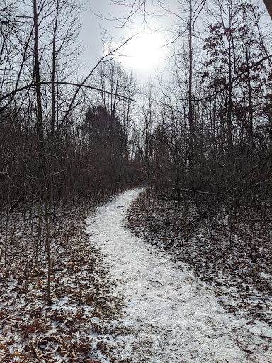 Nature Preserve «Scio Woods Preserve», reviews and photos, Scio Church Rd, Ann Arbor, MI 48103, USA