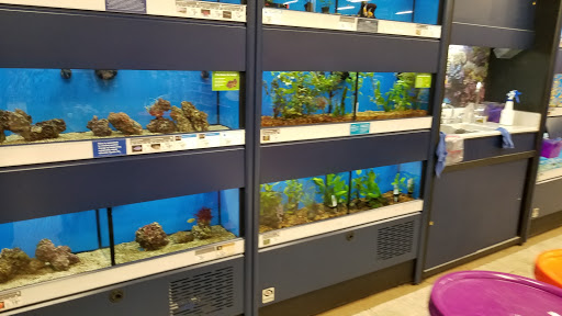 Pet Supply Store «Petco Animal Supplies», reviews and photos, 3537 Washtenaw Ave, Ann Arbor, MI 48104, USA