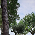 Photo n°7 de l'avis de Paola.e fait le 25/06/2020 à 15:10 sur le  Lido Cisano à Bardolino