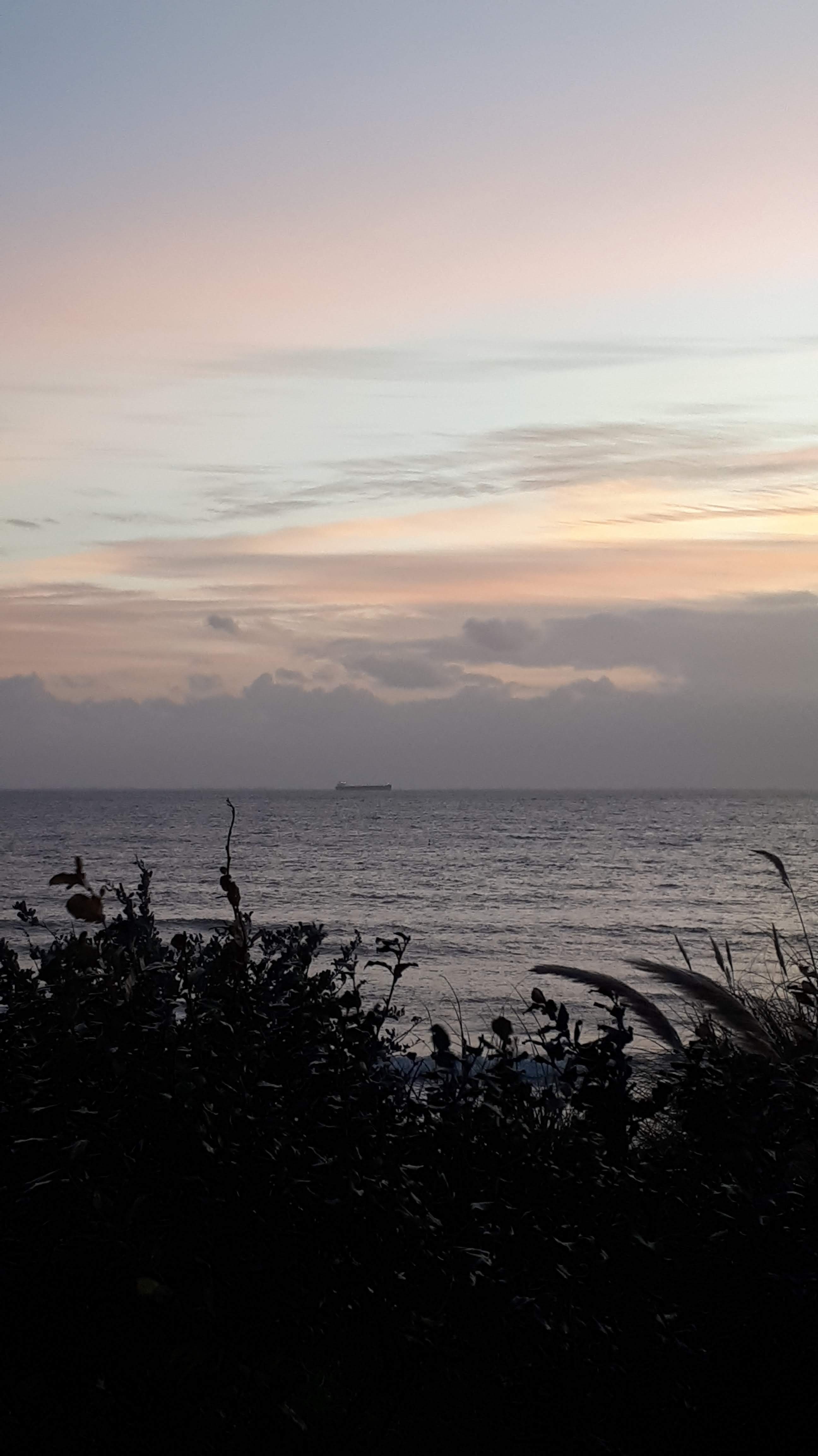 Photo n° 3 de l'avis de Delphine.e fait le 17/11/2019 à 20:02