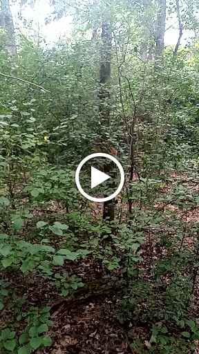 Nature Preserve «W w Knight Nature Preserve», reviews and photos, 29530 White Rd, Perrysburg, OH 43551, USA