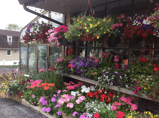 Florist «Moles Flower & Gift Shop», reviews and photos, 3000 Ridge Pike, Norristown, PA 19403, USA