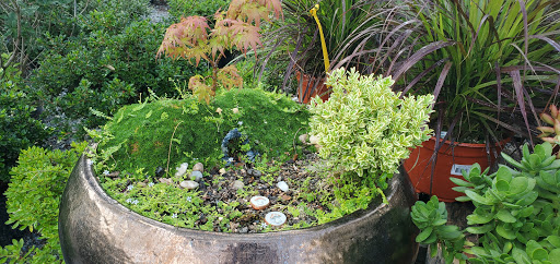 Garden Center «Distinctive Gardens», reviews and photos, 1531 Telegraph Rd, West Chester, PA 19380, USA