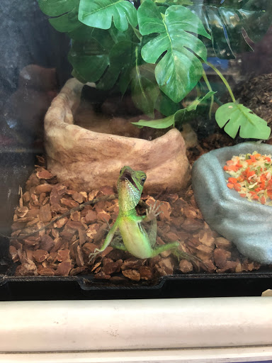 Pet Supply Store «PetSmart», reviews and photos, 1020 Veterans Pkwy #900, Clarksville, IN 47129, USA