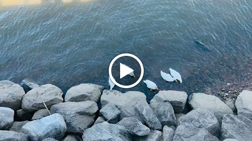 Tourist Attraction «National Harbor», reviews and photos, 165 Waterfront St, Oxon Hill, MD 20745, USA