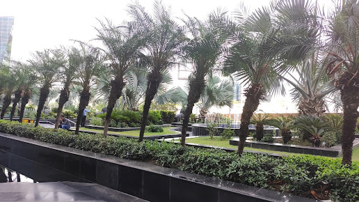 Google Maps image 13