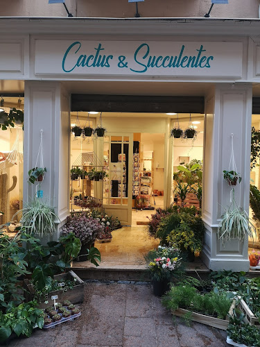 Cactus et Succulentes