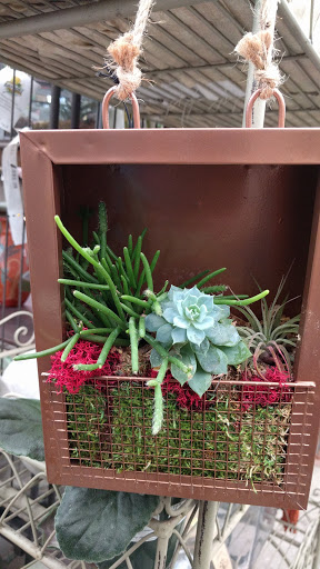 Florist «Bayport Flower Houses, Inc.», reviews and photos, 940 Montauk Hwy, Bayport, NY 11705, USA