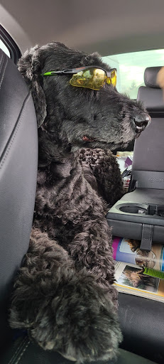 Building Materials Store «Shur-way Building Center», reviews and photos, 10101 N Portland Rd, Portland, OR 97203, USA