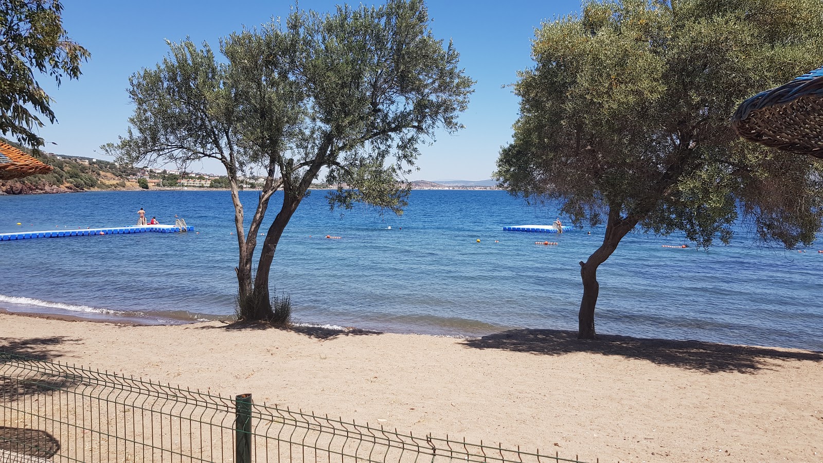 Foto von Flamingo beach mit türkisfarbenes wasser Oberfläche