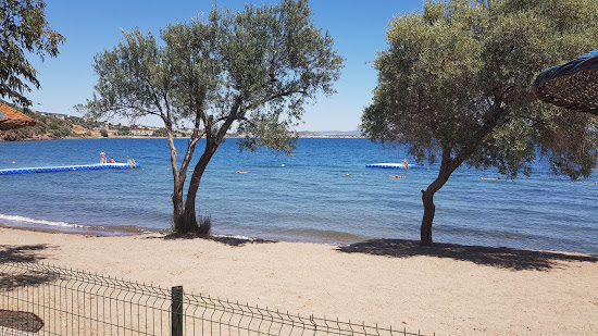 Flamingo beach